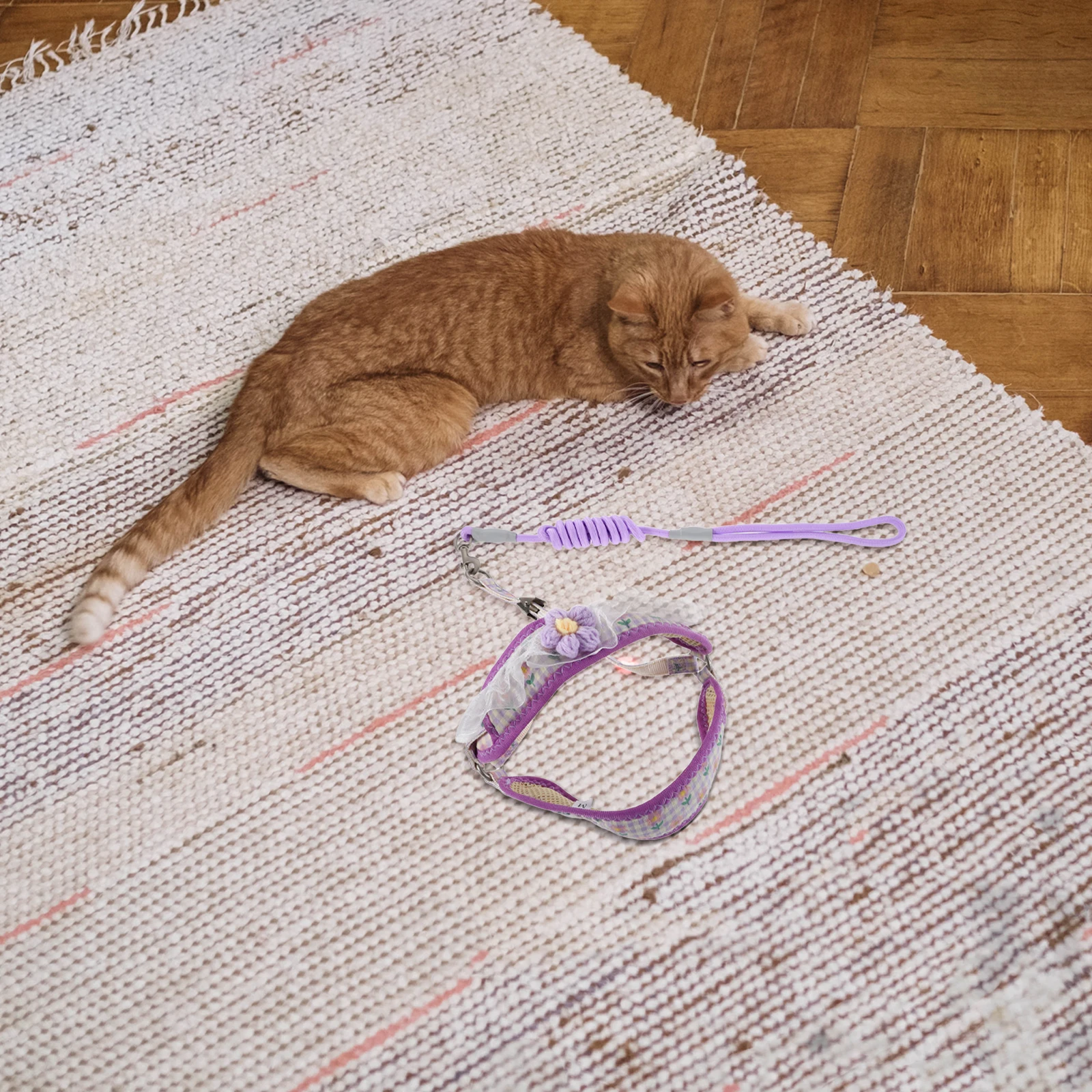 

Dog Leash Harness Set No Pull Adjustable Nylon Durable Pet Harness for Small Medium Dogs Cats Outdoor Training