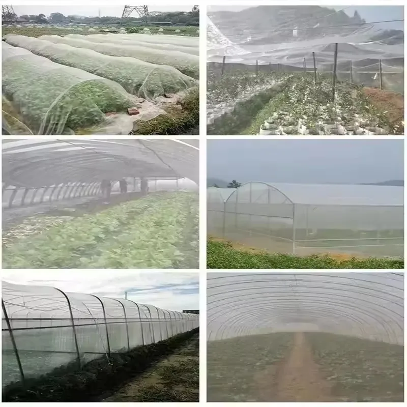 ตาข่ายป้องกันแมลงและพืชในสวน ผ้าคลุมดูแลผัก ดอกไม้ และผลไม้ ป้องกันศัตรูพืช ตาข่ายป้องกันนก 60 เมช