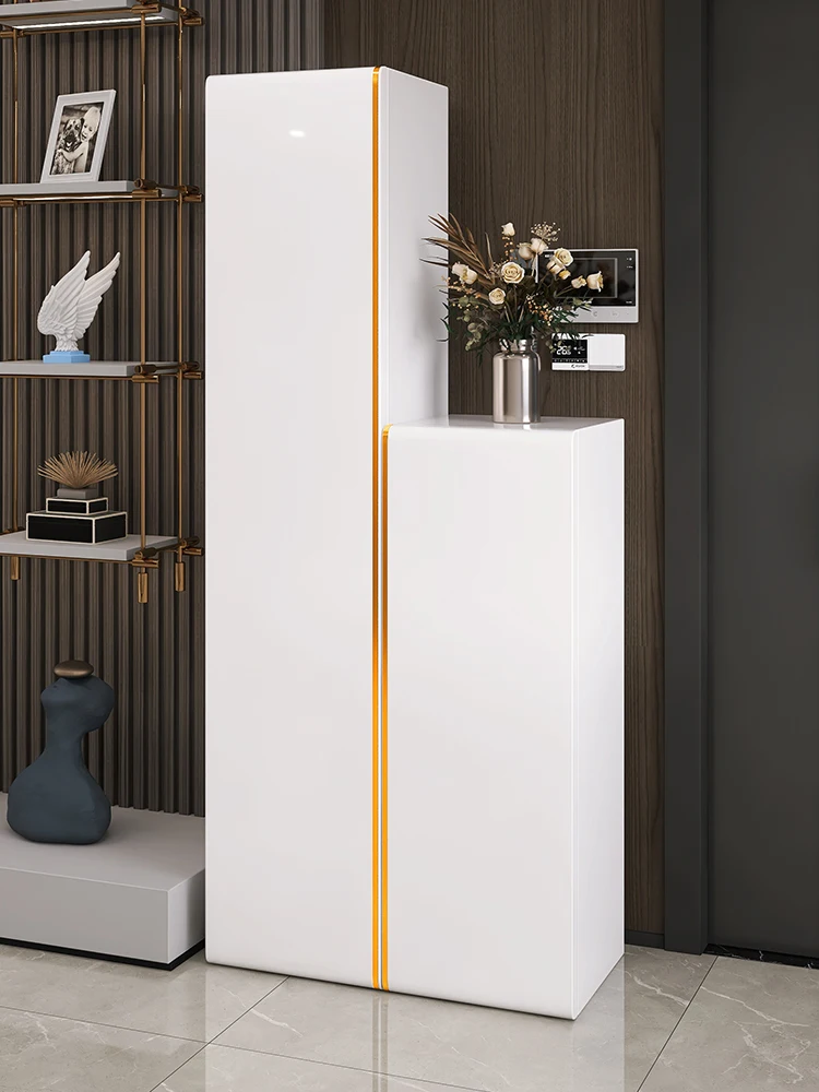 Shoe cabinet storage high-end explosion household indoor door entry disinfection sterilization deodorization belt full-length