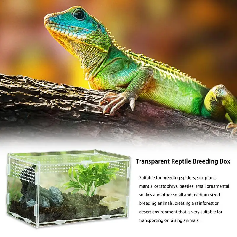 Reptile Terrarium Transparent Reptile Breeding Carrier Lightweight Acrylic Large Feeding Tarantula Habitat Box For Small Animals