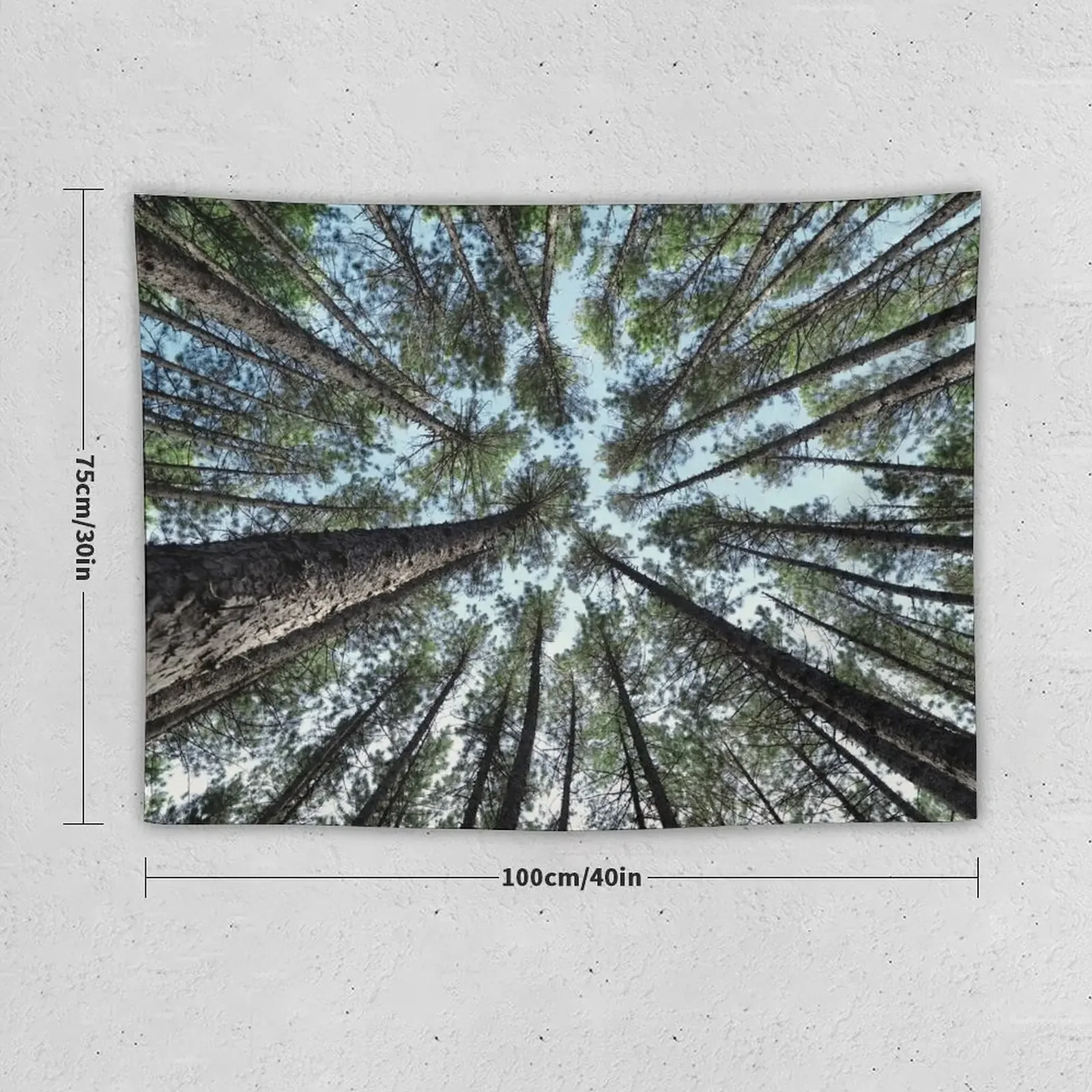 Tree tops of pine forest art photo print Tapestry Decor For Room Home Decorations Aesthetic Wall Decoration Tapestry