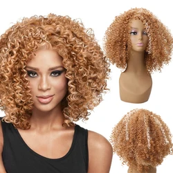 Amir Synthetic Blonde Curly Wigs Brown Kinky Curly Hair  Afro Wigs for white Women Black Wig for Party Cosplay