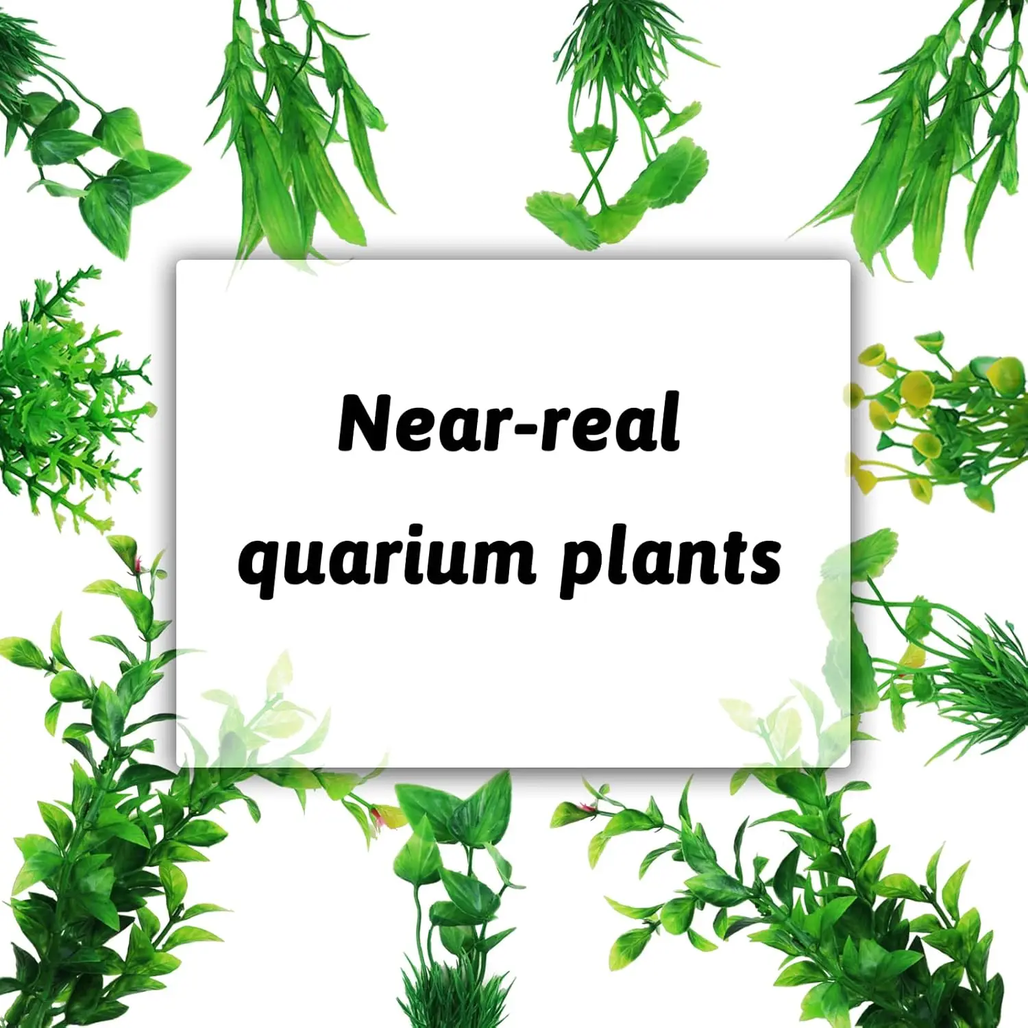 Thumbnail 3 - #69 Trending Decorative Aquarium Plants Right Now