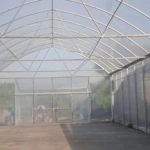 تخصيص الدفيئة 8x20 م البلاستيك الزراعي/التجاري برعاية واحدة الطماطم نفق بولي الدفيئة البناء في الصين