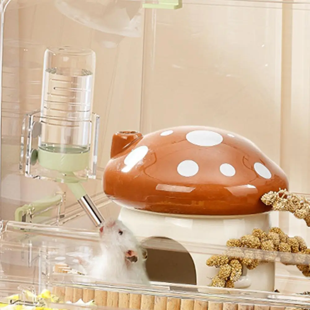 Thumbnail 2 - #6 Hamster Water Bottle Feeders Comparison Guide
