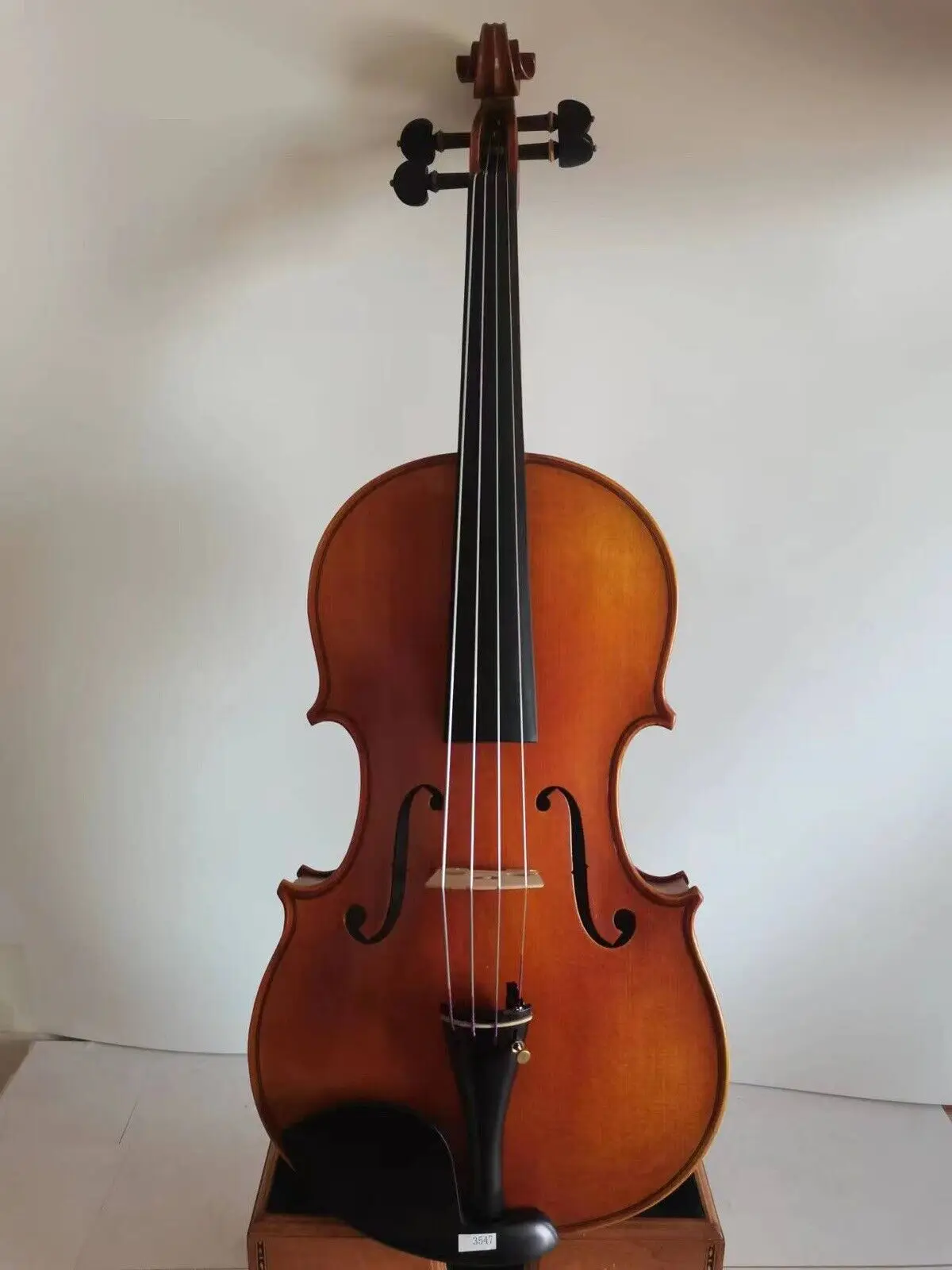 Master Viola 16