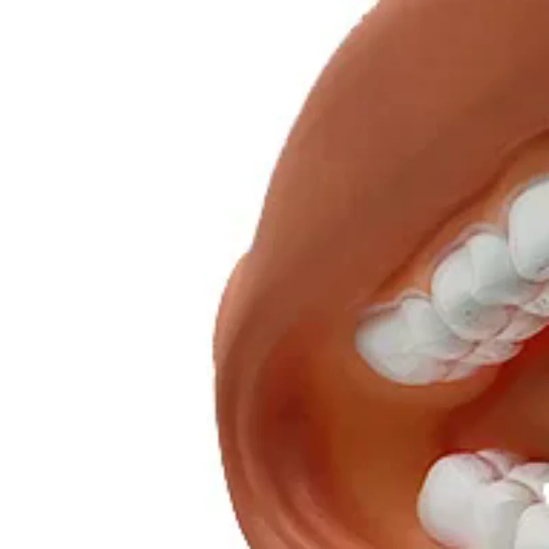 

1 Set Dental Model Mighty Mouth Hand Puppet With Tongue For Speech Therapy Dentist / Educational Learning Resource For Children