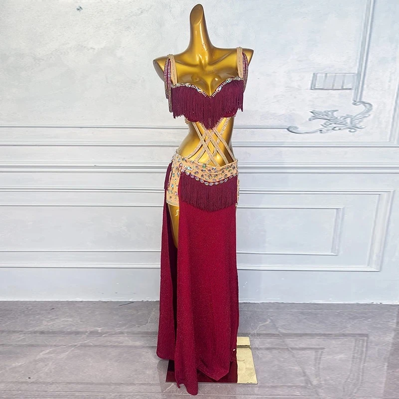 Vestido feminino luxuoso com franjas de strass, vestido adulto para competição de dança do ventre, elegante, traje de performance de dançarina do ventre