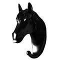 Black Horse