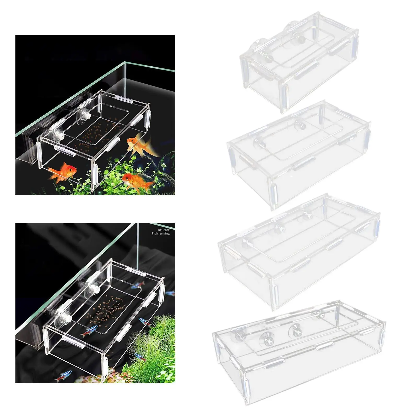 Acrylic Aquarium Feeder Feeding Dish Tray Fixed Feeding Point
