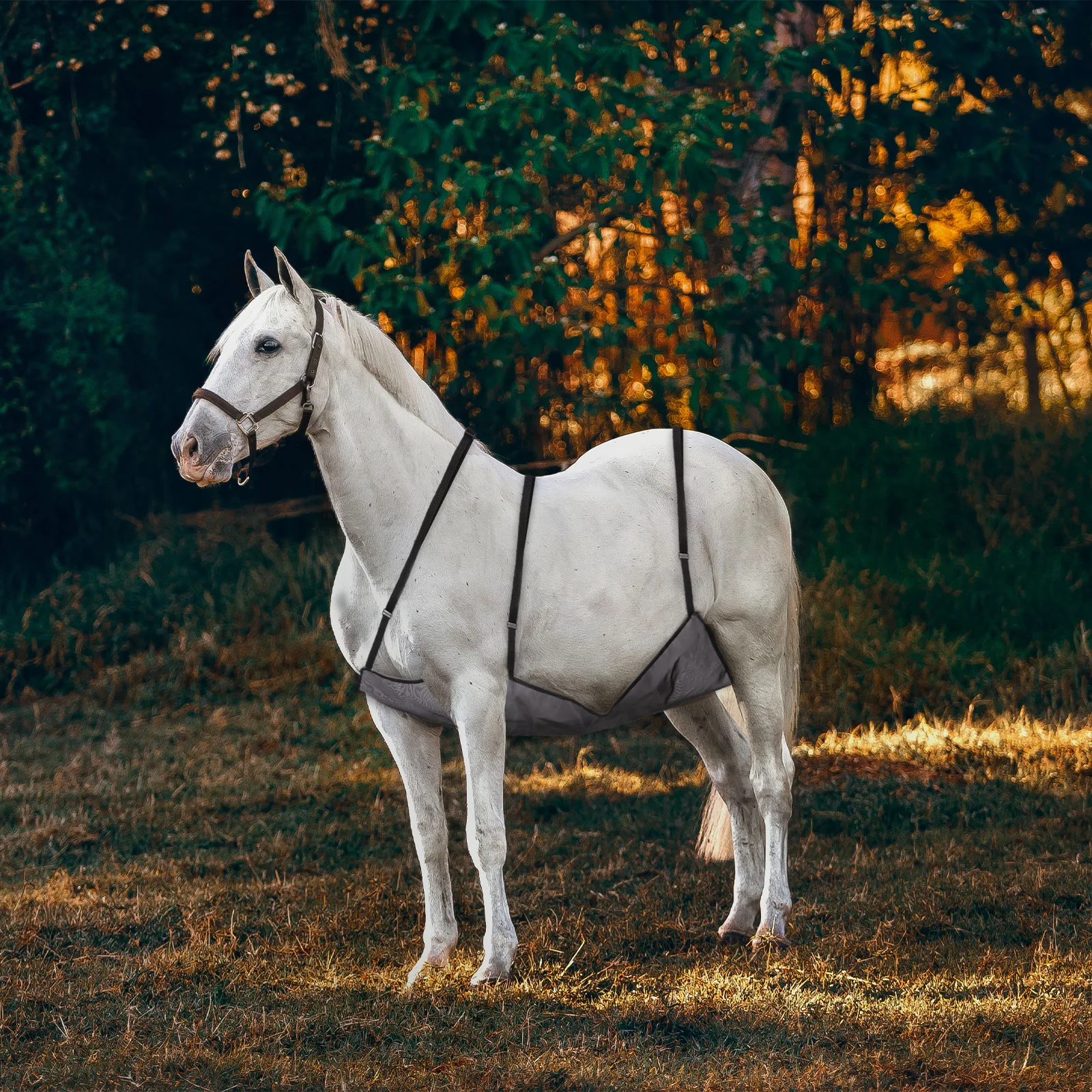 

Horse Belly Protection Cover Practical Guard Fly Net Protective Mesh Comfortable Adjustable Rug
