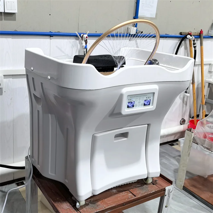 

Fast Delivery No Plumbing Salon Mobile Hair Washing Head Therapy SPA Portable Shampoo Basin Sink With Water Tank and Heater