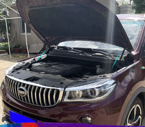 

1 комплект газовых стоек для SWM X7 2016-2019, опора подъема переднего капота, демпфер, опорные стержни амортизатора