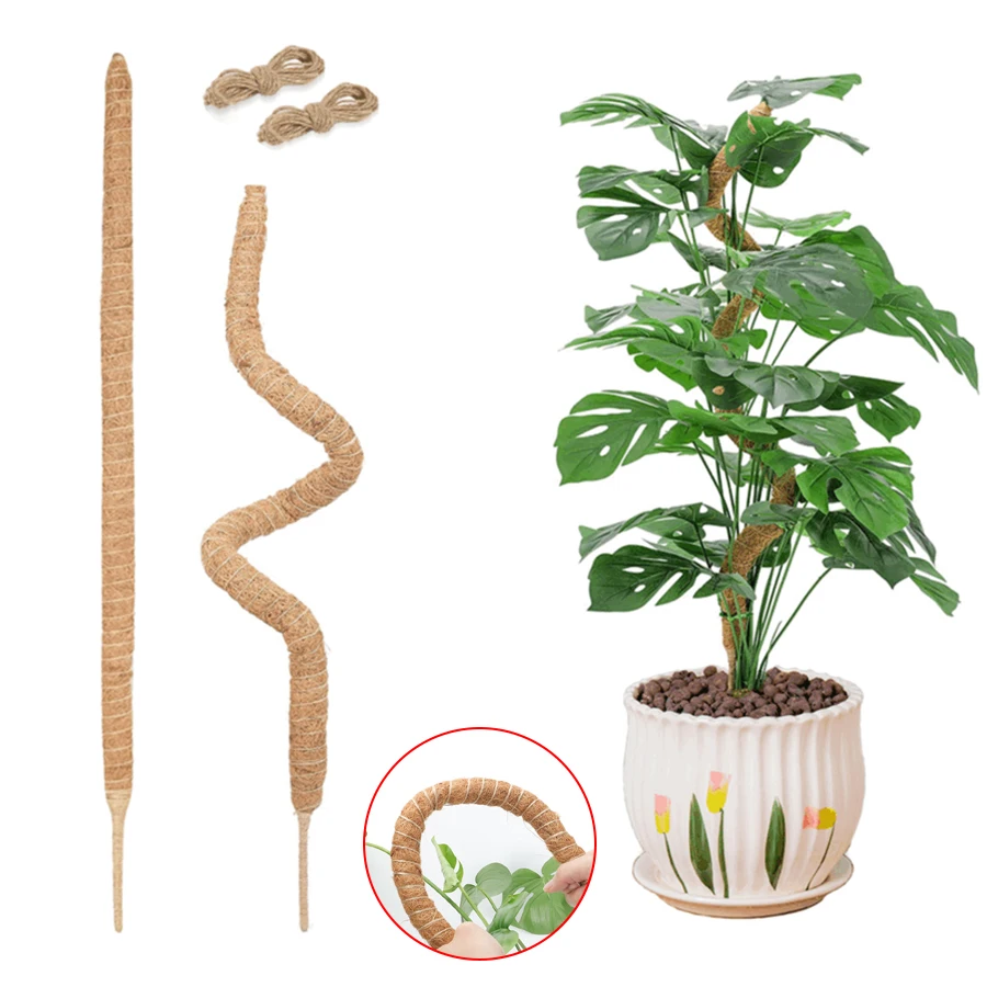 60/80/100/120cm Bendable Plant Climbing Palm Cane for Indoor Coir Plant Monstera  Support Garden Trellis Plant Stick Stakes
