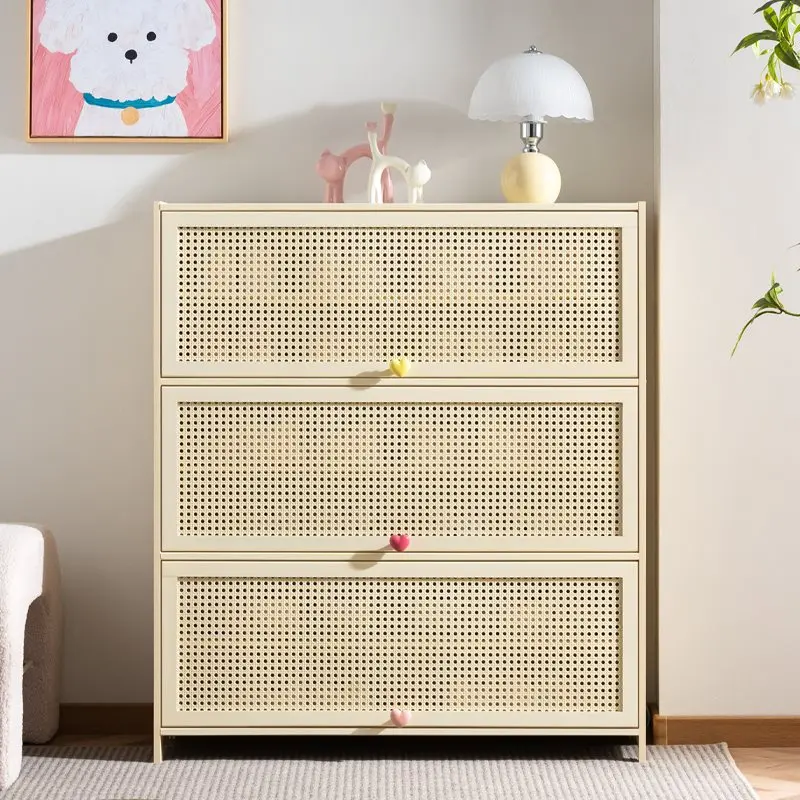Layer Flip Cheap Shoe Cabinet Dustproof Modern Hallway Slim Shoe Cabinet Rattan Entrance Schoenen Opbergsysteem Furniture Home