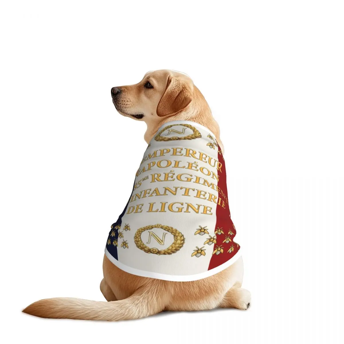 Napoleonic French 8… - image