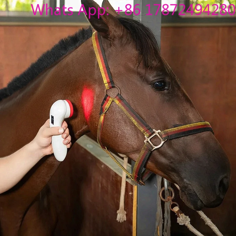 Animal Pain Relief Cold Therapy Device, Red Light Phototherapy Equipment for Dogs and Pets