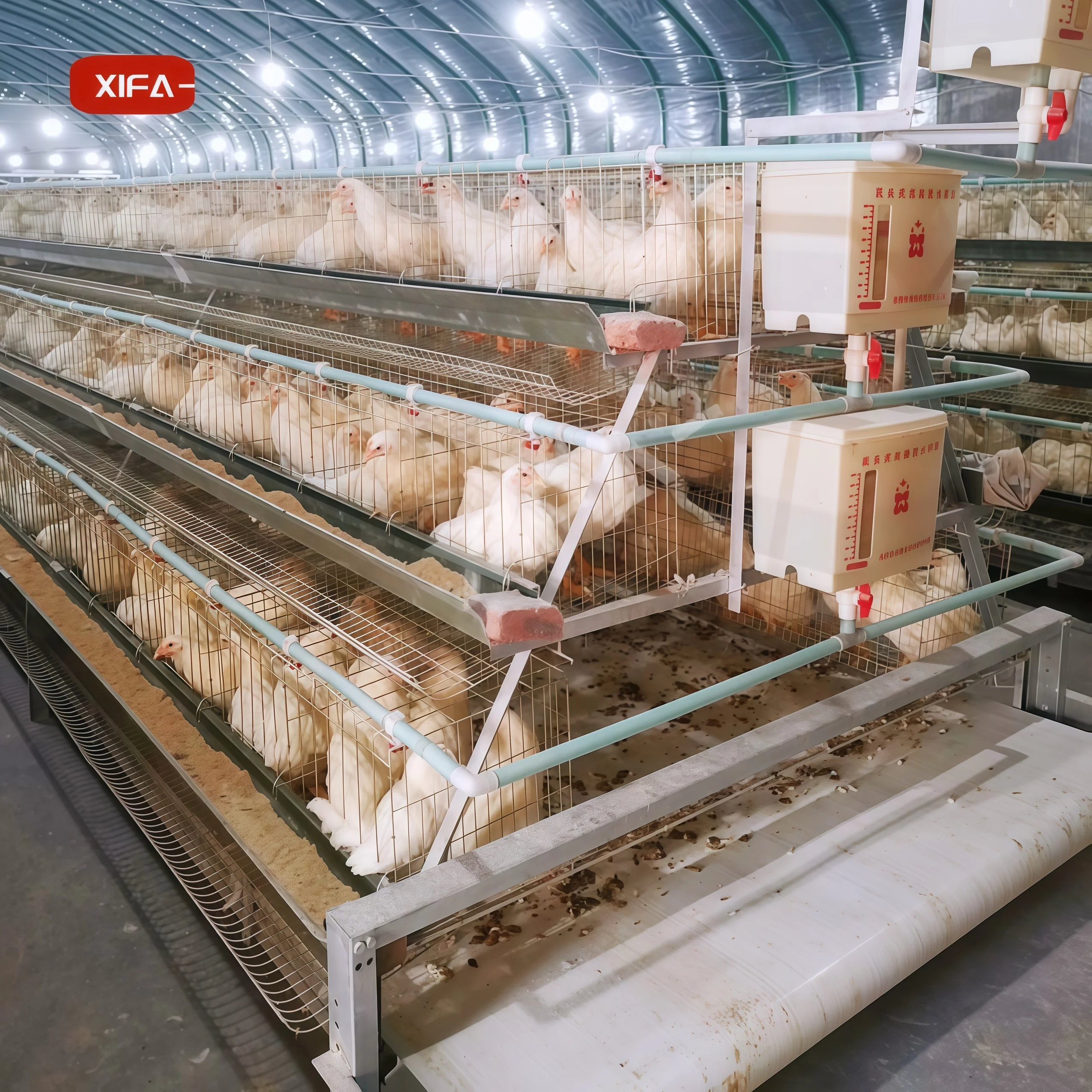 Galvanized Chicken Cage with Nest Box | A must-have for Layer Farms