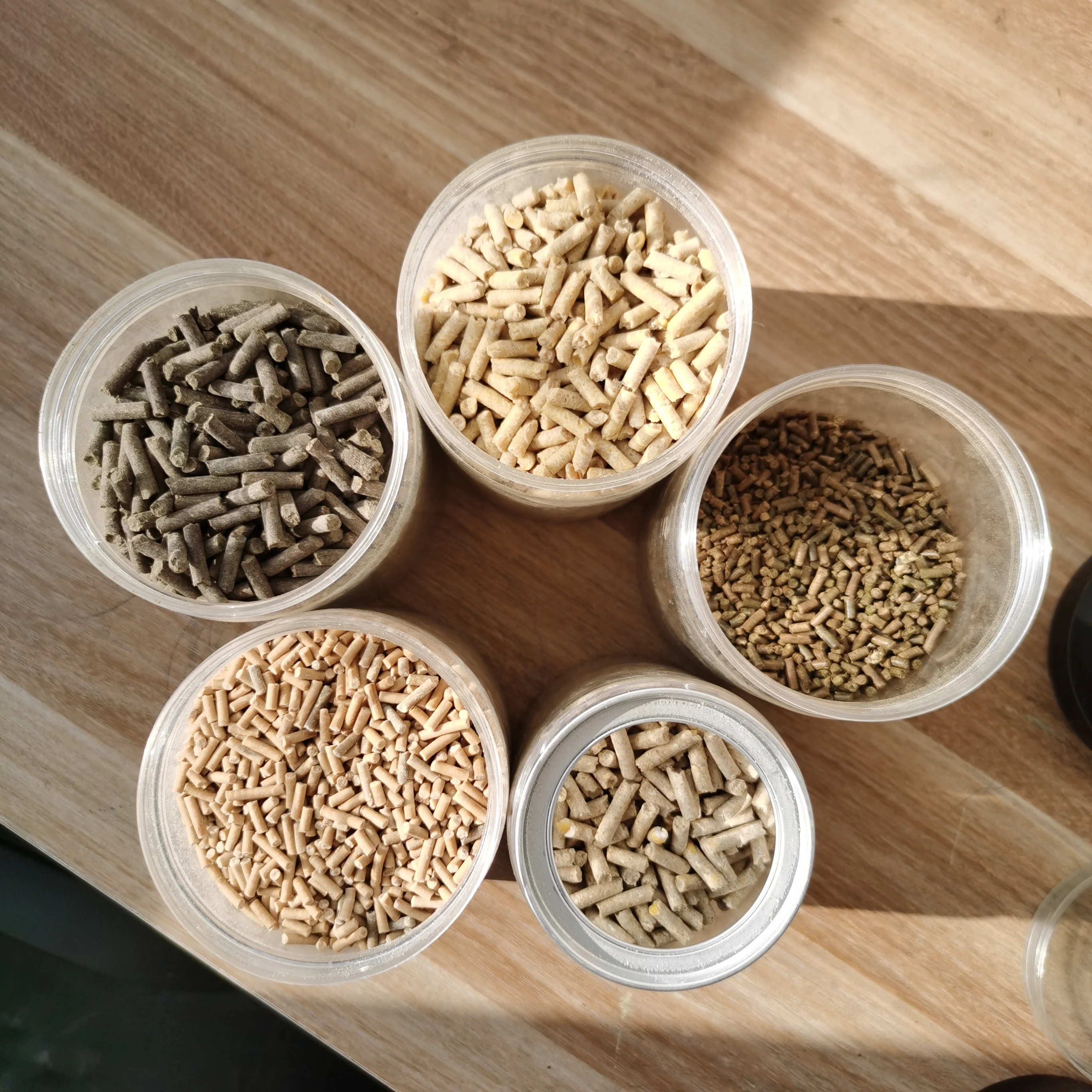 Futterverarbeitung Extruder Huhn Geflügel Fischfutter Kleines Pellet Tierfutter Pelletmaschine