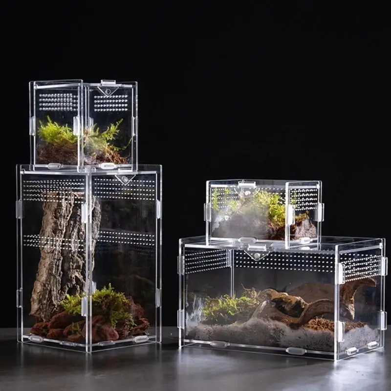 Petit Terrarium pour animaux compagnie, Cage en acrylique pour Reptiles, maison, trous flux d'air, boîte d'ouverture