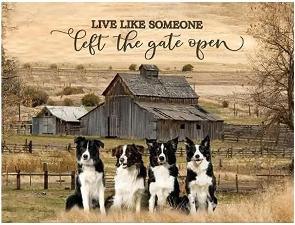 Vintage Border Collie Metal Plaque Poster Live Like Someone Left The Gate Open Retro Metal Tin Sign Plaque Wall Decor Gift For F