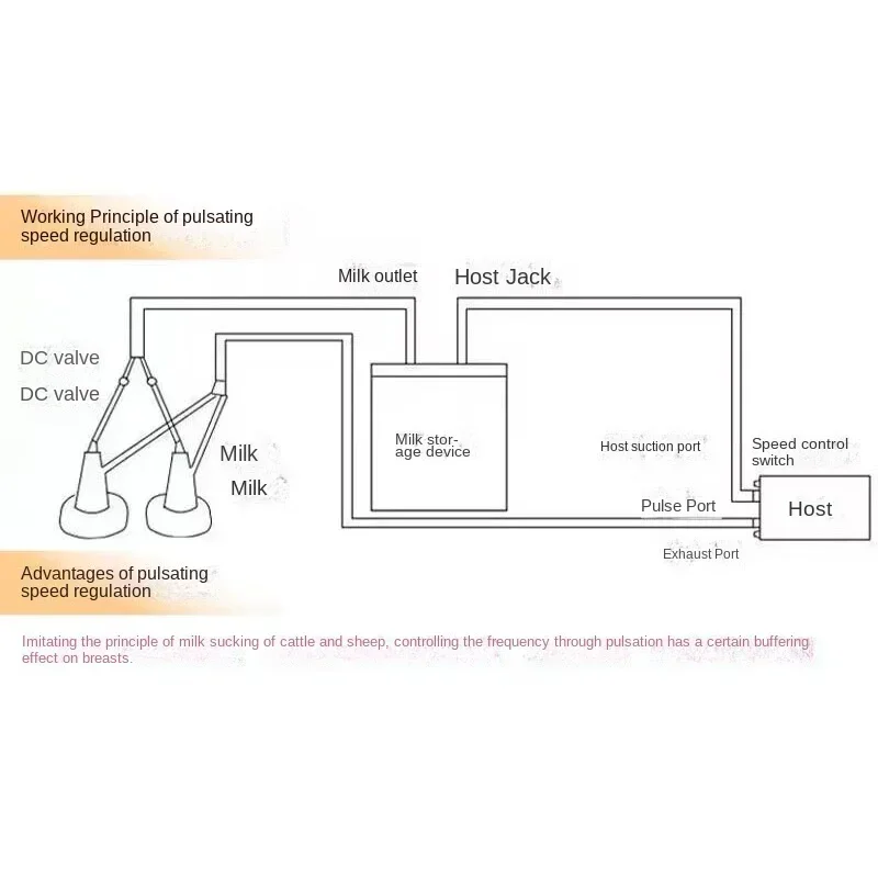 5L Automatic Pulse Milking Cow Goat Sheep Vacuum Pump Bucket Farm Breeding Equipment Intensity Adjustment.