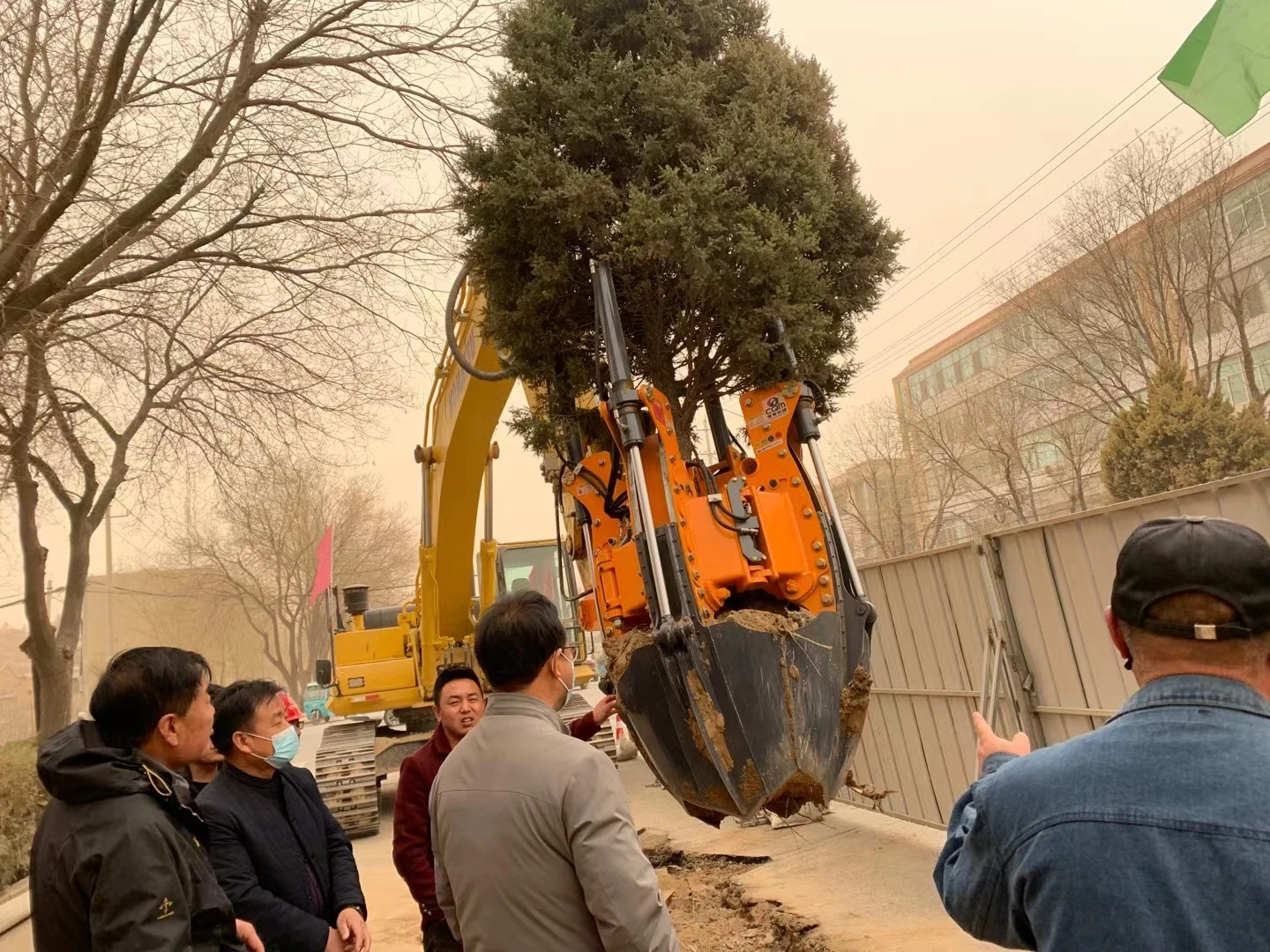 Escavatore per trapianto di alberi da giardino per macchine forestali idrauliche da 1 anno alimentato da trattore con attacco per cippatrice di legno multi-petalo