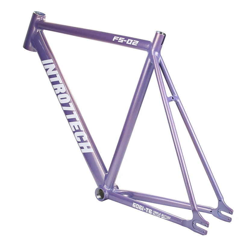 

POLSO FM001 700c Road Bike Frame Color Painted Fixed Gear Bike Frame