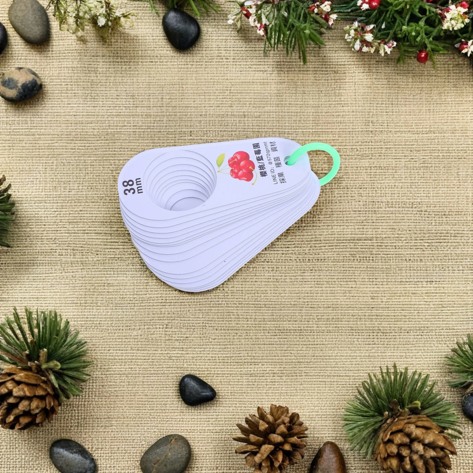 

16 Sizes Hole Plastic Fruit Diameter Gauge Measuring Ruler Accurate Cherry Blueberry Size Classification Tool Measuring Gauge