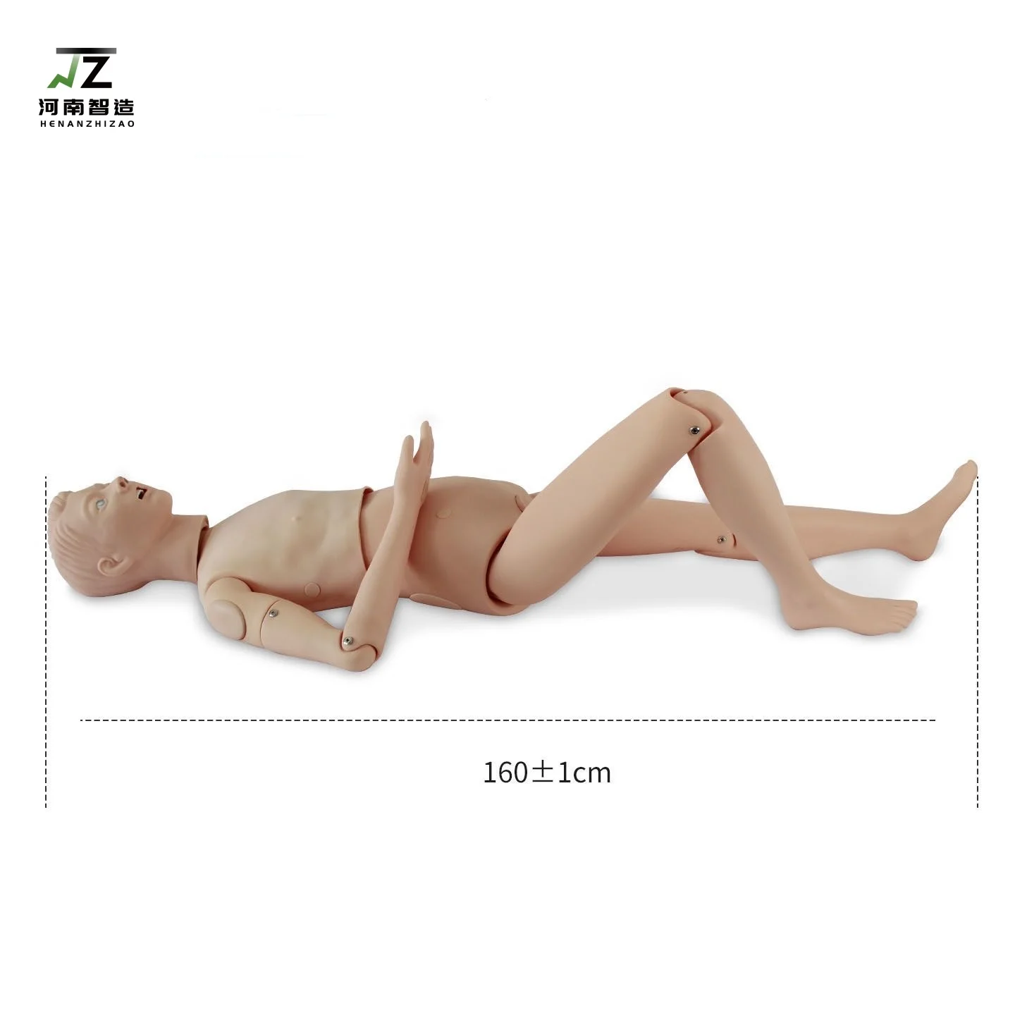 Multi-functional Cardiopulmonary Resuscitation Model Caregiver for Tracheal Intubation, Injection and Catheterization