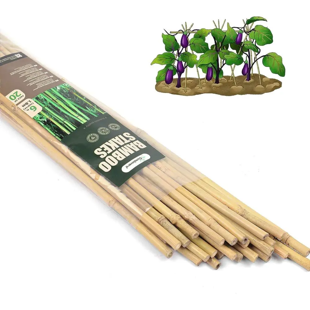 

Eco-Friendly 6-Foot Bamboo Plant Stakes - Pack of 20 for Plant and Climbing Support