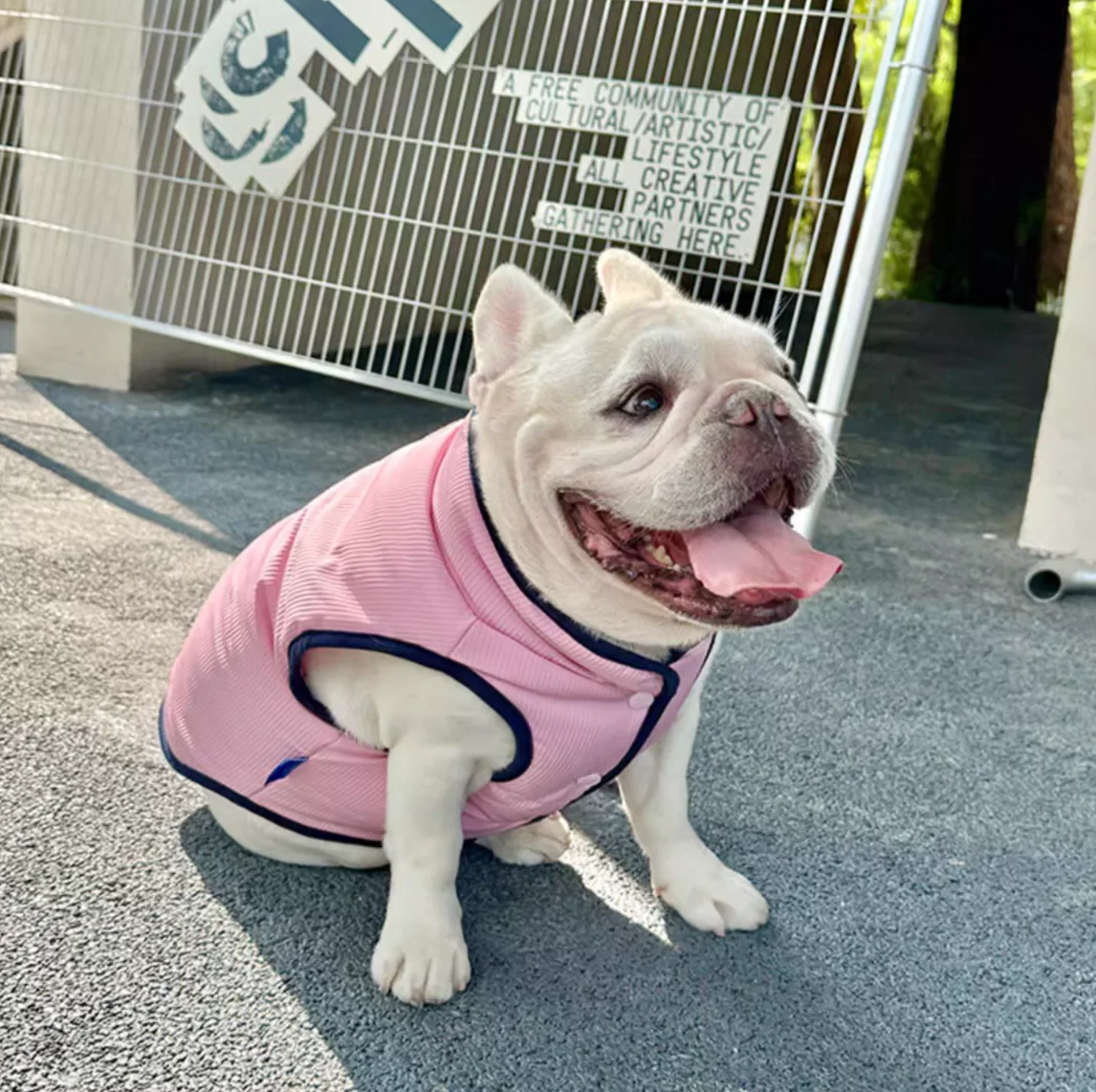 Roupas acolchoadas para cachorros e gatos, jaqueta quente de inverno para cães pequenos, colete chihuahua, buldogue francês, roupas yorkie