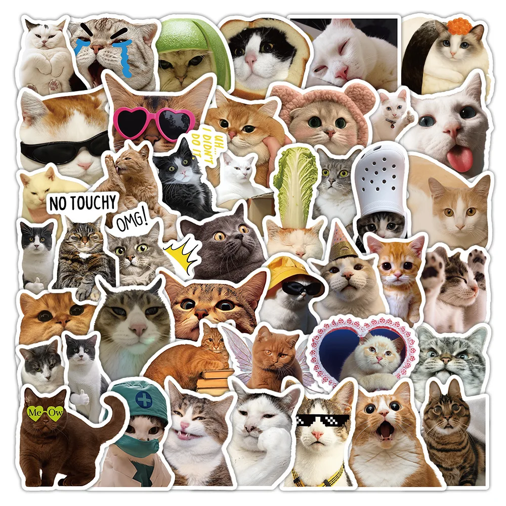 

50Pcs Funny Cat Meme Phone Stickers Graffiti Decor Mobile Phone Guitar Notebook Skateboard Bottle Luggage Waterproof Stickers