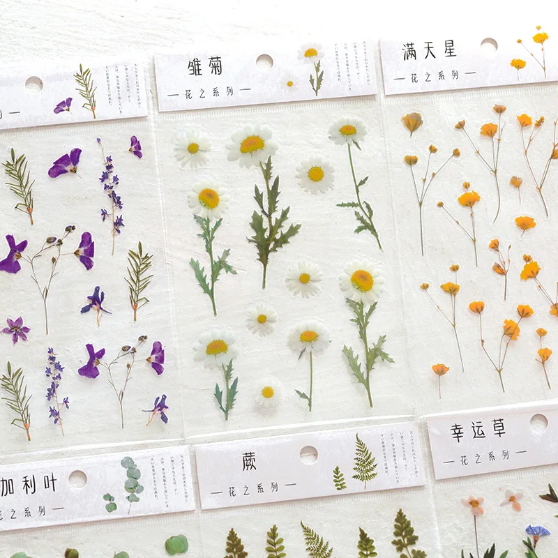 

2 шт./компл., прозрачная наклейка для домашних животных, чашка-термос, чашка для воды, маленькое свежее цветочное растение, сделай сам, материал для ручного счета, декоративная наклейка