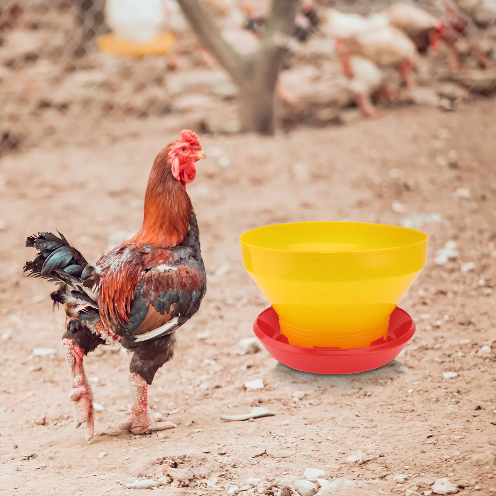 

Chicken Feeding Implement Poultry Pan Food Bucket Feeder for Chickens Equipment Container