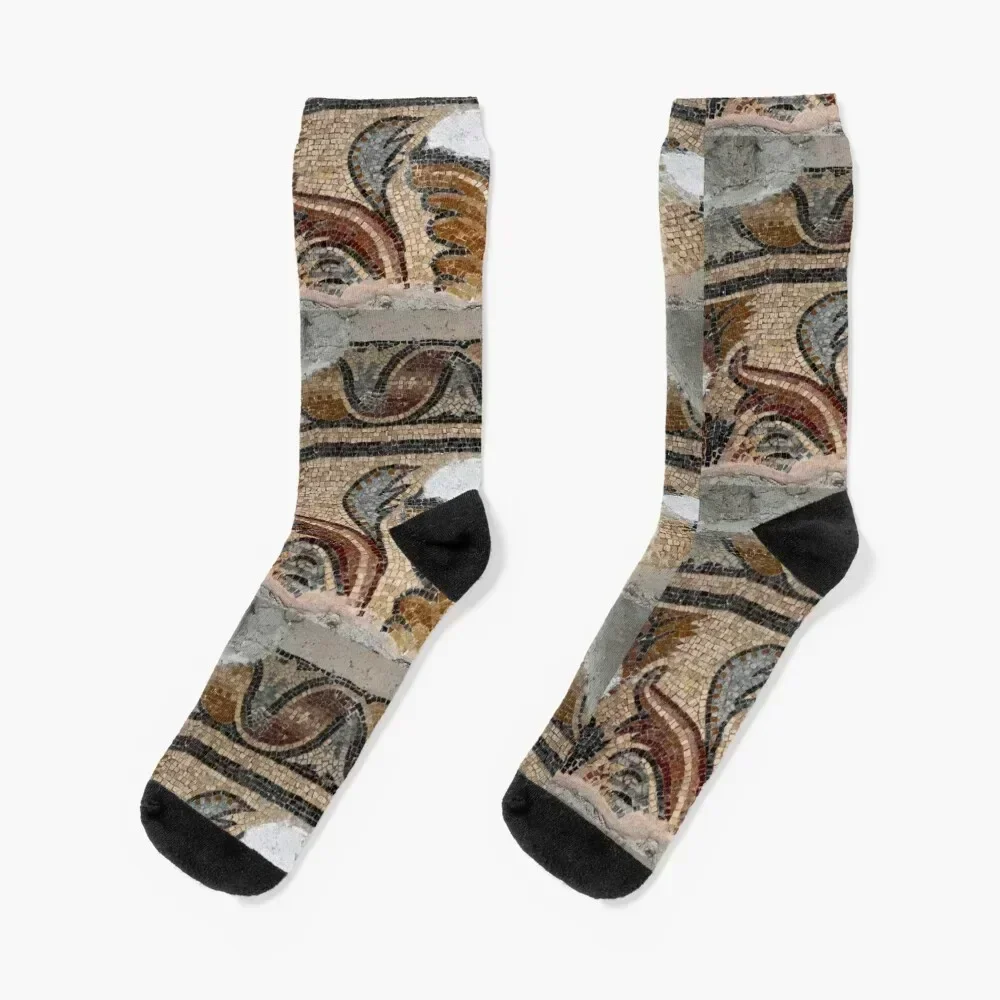 Roman mosaic preserved in Aix-en-Provence cathedral Socks new year anti-slip gifts hiphop Woman Socks Men's