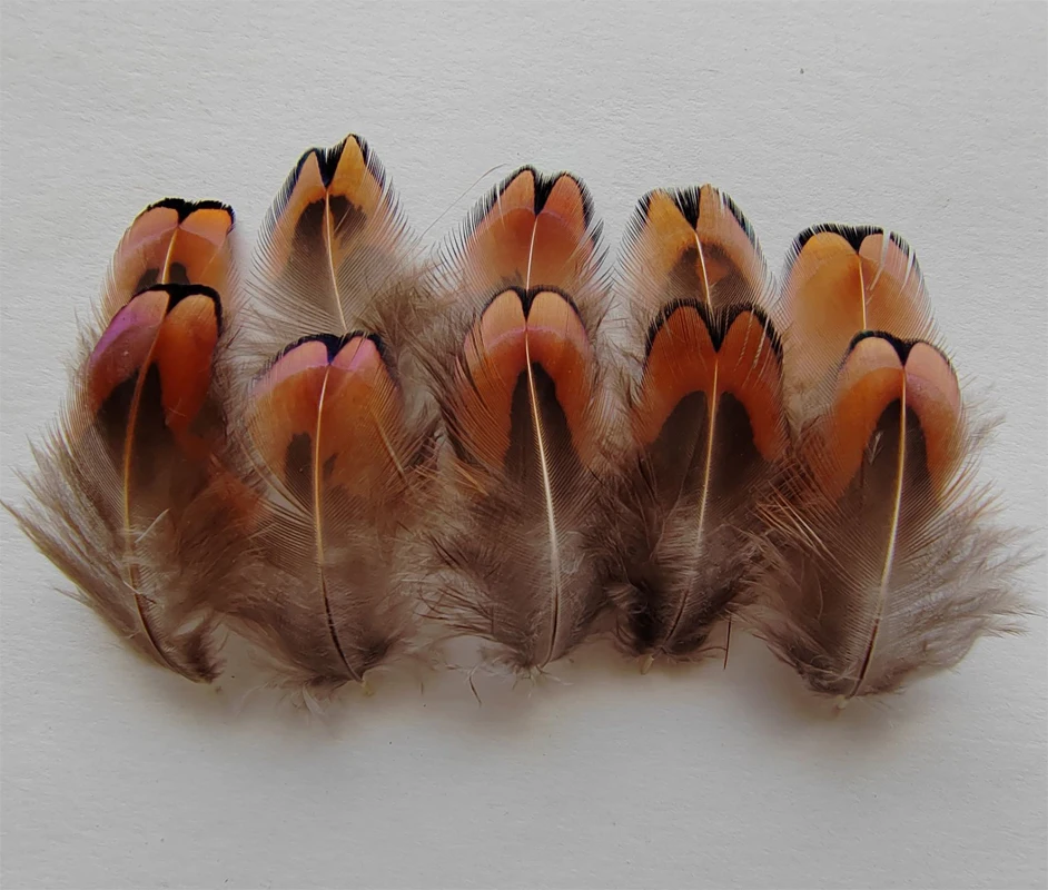 200Pieces  4-6cm long Laced Heart Ringneck Pheasant Plumage Wholesale Feathers Craft Supply