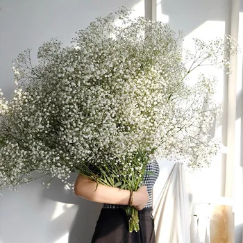 Witte Natuurlijke Gedroogde Gypsophila Gipskruid Gedroogde Bloemen Gypsophila Arrangement Woondecoratie Bruiloft Tafel Decor Bloemen DIY