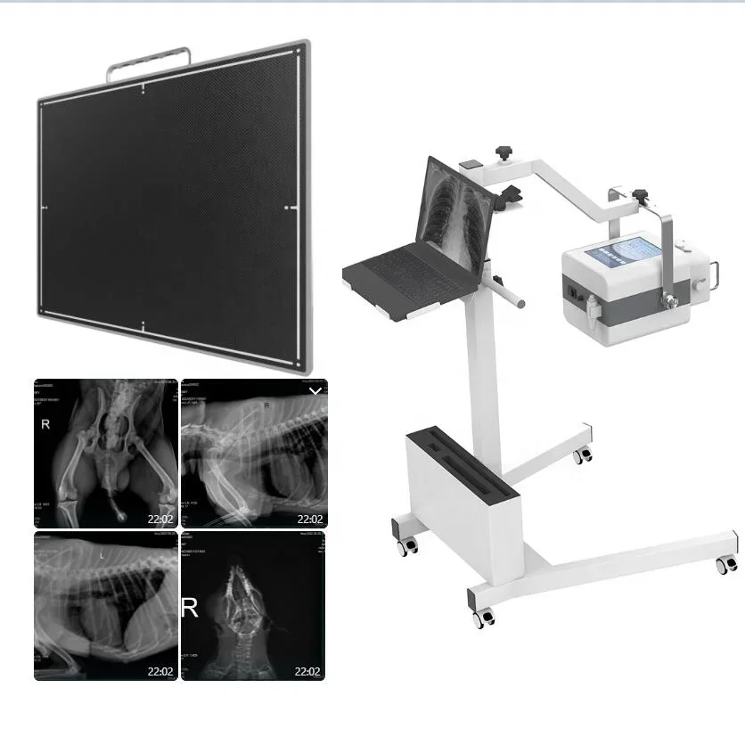 17*17 Digital Flat Panel X Ray Detector/ Veterinary Flat Panel Detector TFT For Horse