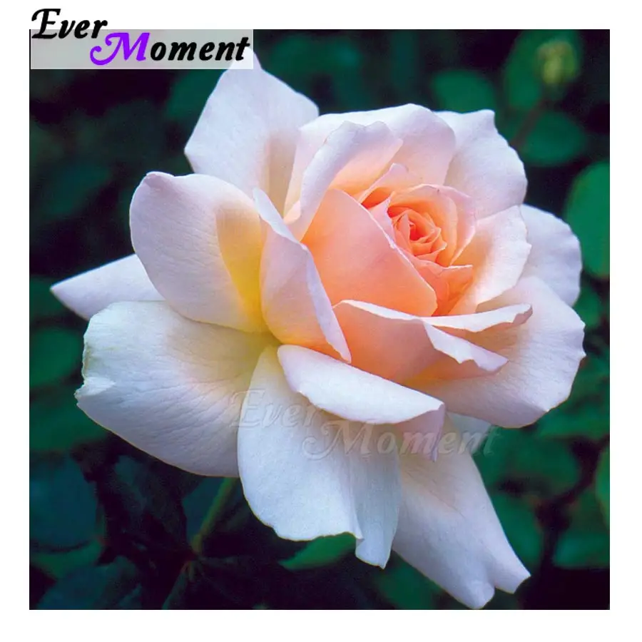 

Ever Moment Handmade Square Diamond Embroidery Locus Full Square Drill Mosaic Cross StitchDecoration Home ASF1396
