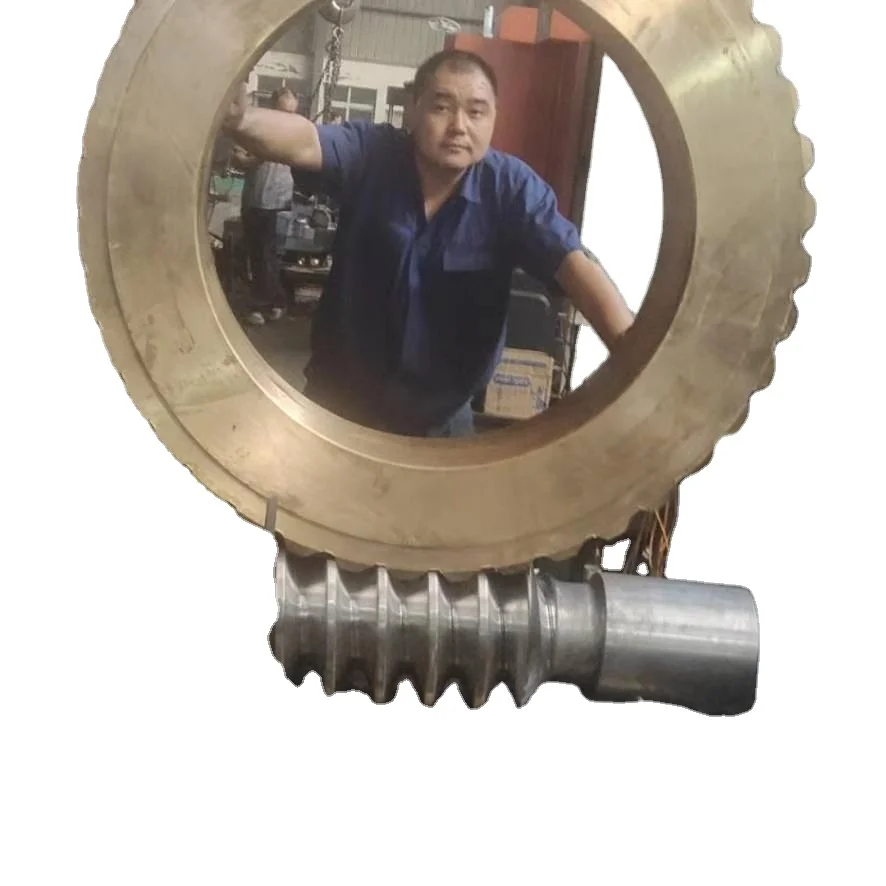 

Customized High Precision CNC Hobbing Large Copper Brass Worm for Gear Reducer