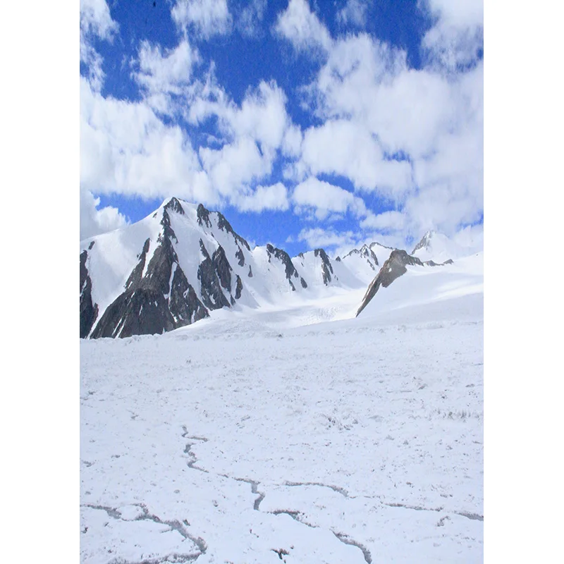 Photorealistic Fabric Photography Backdrops Prop Snow scene Photography Background  2021112XJ-02