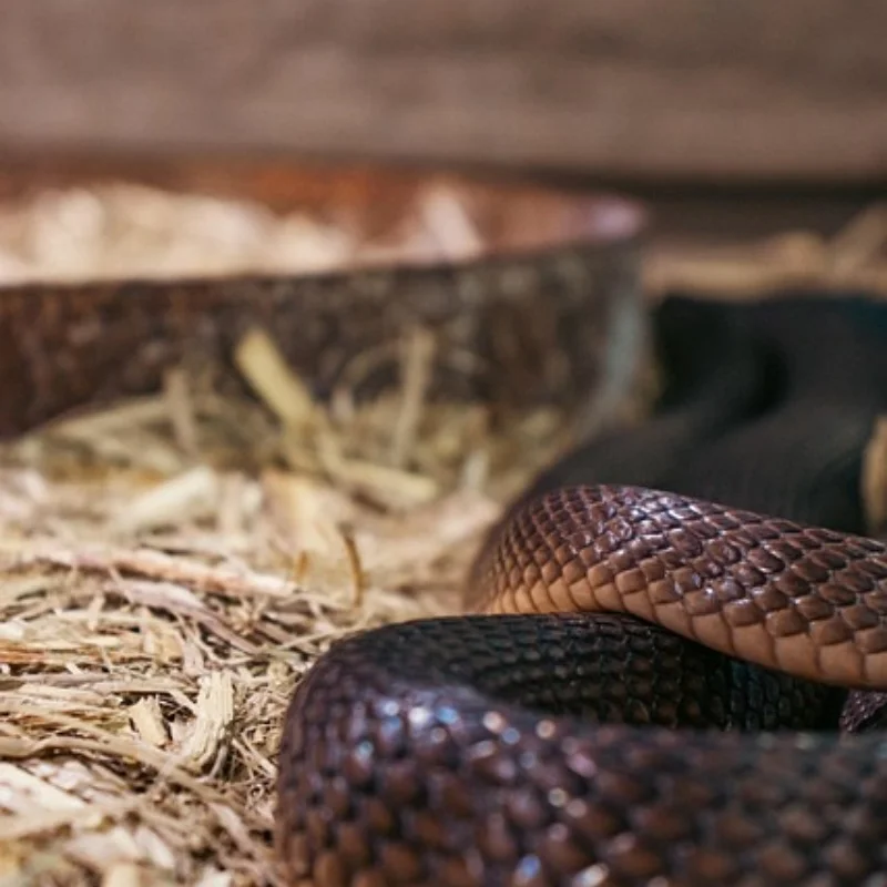 

4 шт. металлическая ступица колеса 1,9 обод колеса с замком для 1:10 Rc Crawler Axial Scx10 Scx10 Ii 90046 Axi03007 D90 Yikong Trax Trx4