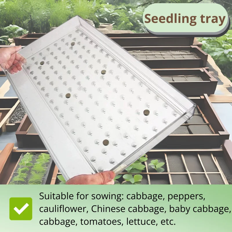 

Durable Handheld Seed Planter Multi-Function Seeder Tool for Nursery Floating Trays,For sorghum seeds
