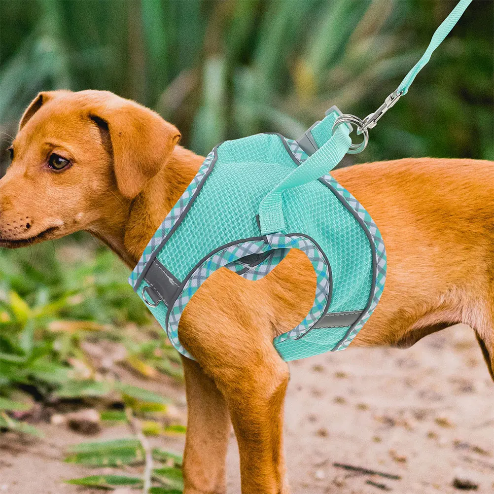 

1Set Dog Harness and Leash for Small Large Dogs Fashionable Eyecatching Design Reusable Longtime Use Pet Walking Vest