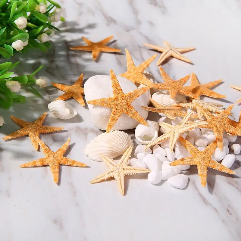 10pcs/Pack Conch Shell Natural Sea Star DIY Handmade Material Decorative Ornament Pendant Supplies