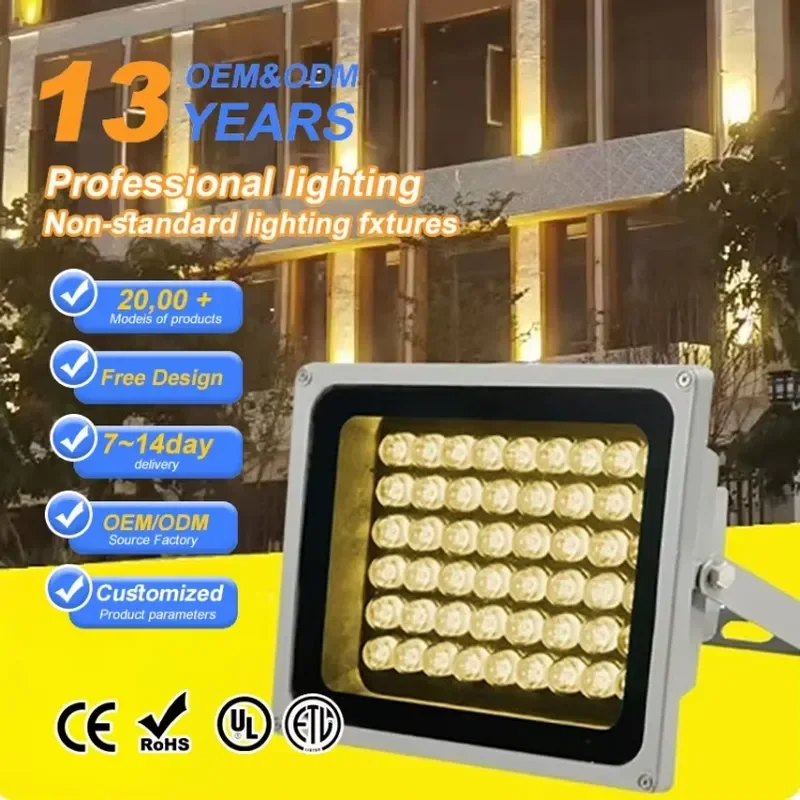 High Power RGB 30W IP67 Waterproof Aluminum Body SMD LED Flood Light with ROHS Certification for Park and Garden Decoration