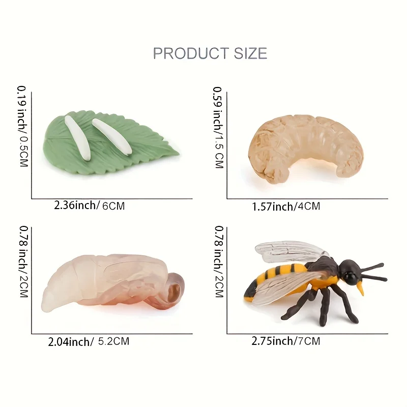 مجموعة نماذج محاكاة لنمو الحشرات لنمو الحشرات، مناسبة للديكور المنزلي، وزخارف سطح المكتب، وإدراك الأطفال #4