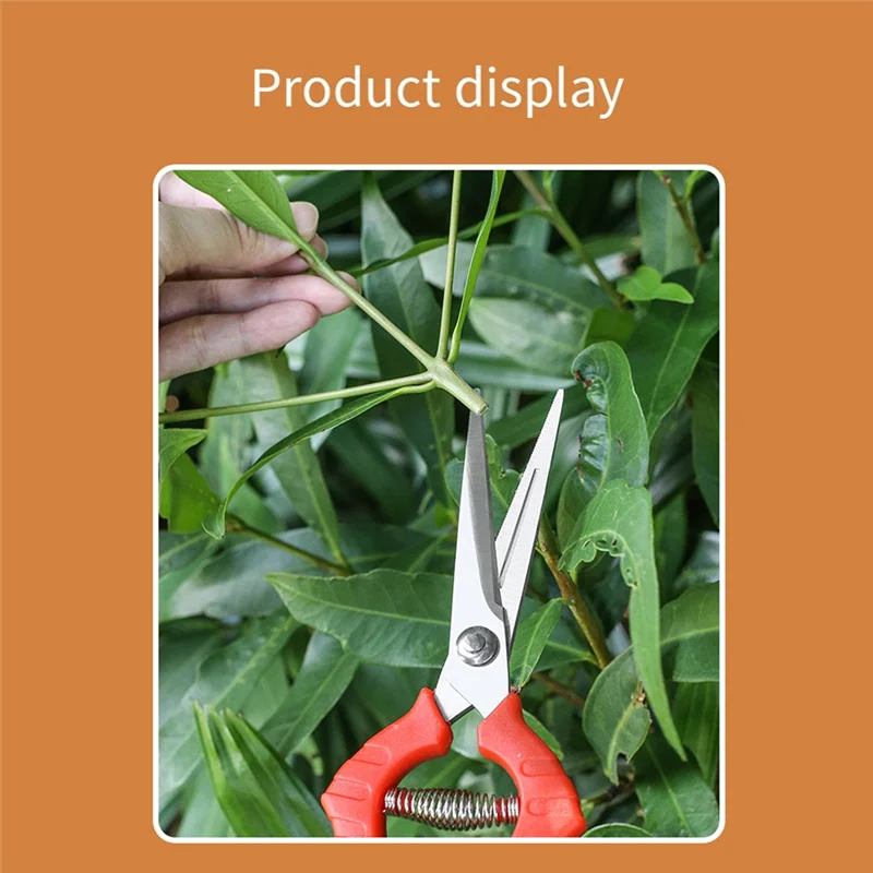 

AB34-Garden Pruning Shears Potted Branches Scissors Fruit Picking Small Scissors Household Hand Tools