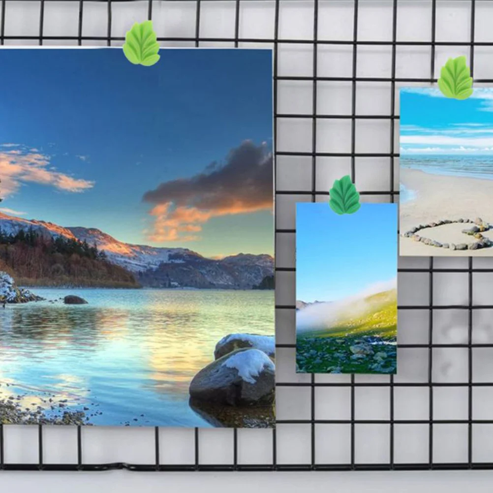 30 قطعة دبابيس ضغط الورقة الخضراء مسامير الإبهام الزخرفية للخرائط لوحات الفلين صور السفر منظمة المكتب مسامير متعددة الوظائف